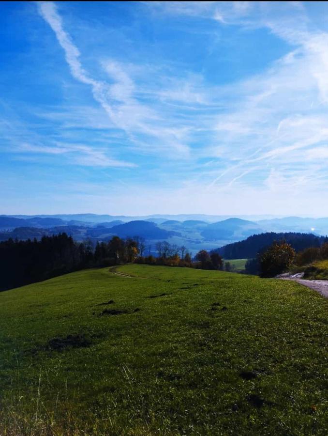 Traumblick Bayerischer Wald, Pool & Sauna, Getraenke, Klimaanlage Freyung Exterior photo